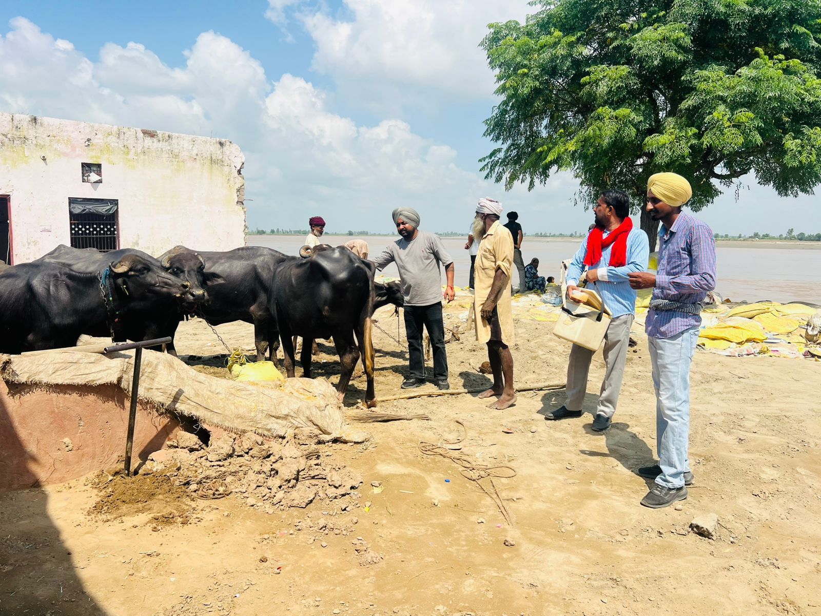 गाँव अदालतगढ़ में बाढ़ से बड़ा नुकसान, अश्वनी शर्मा ने किया दौरा, किसानों को दिया भरोसा – नुकसान की होगी पूरी भरपाई